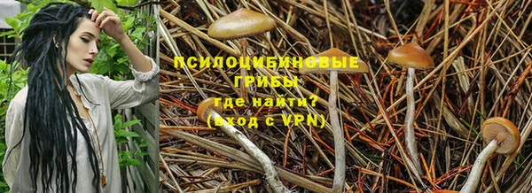 меф Абаза